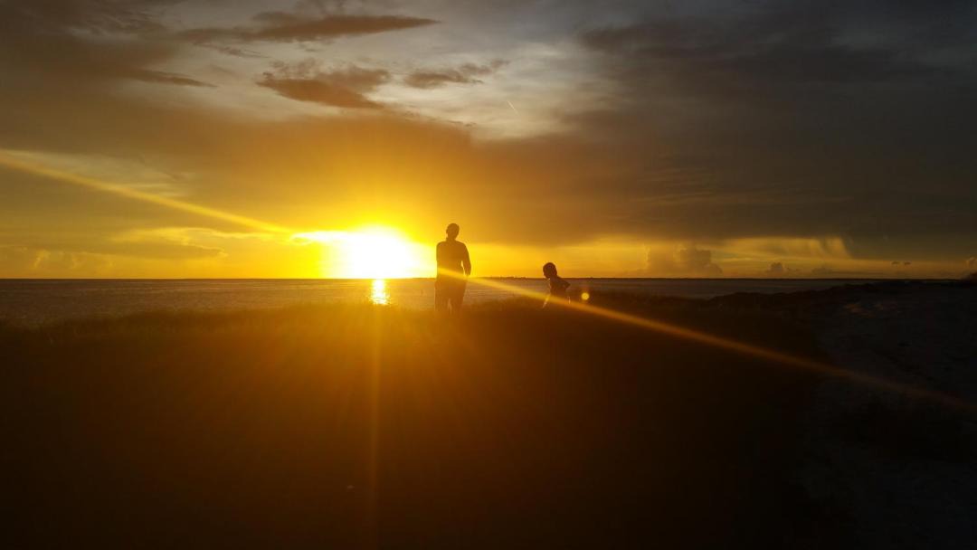 Photo of Others in Tarpon Springs