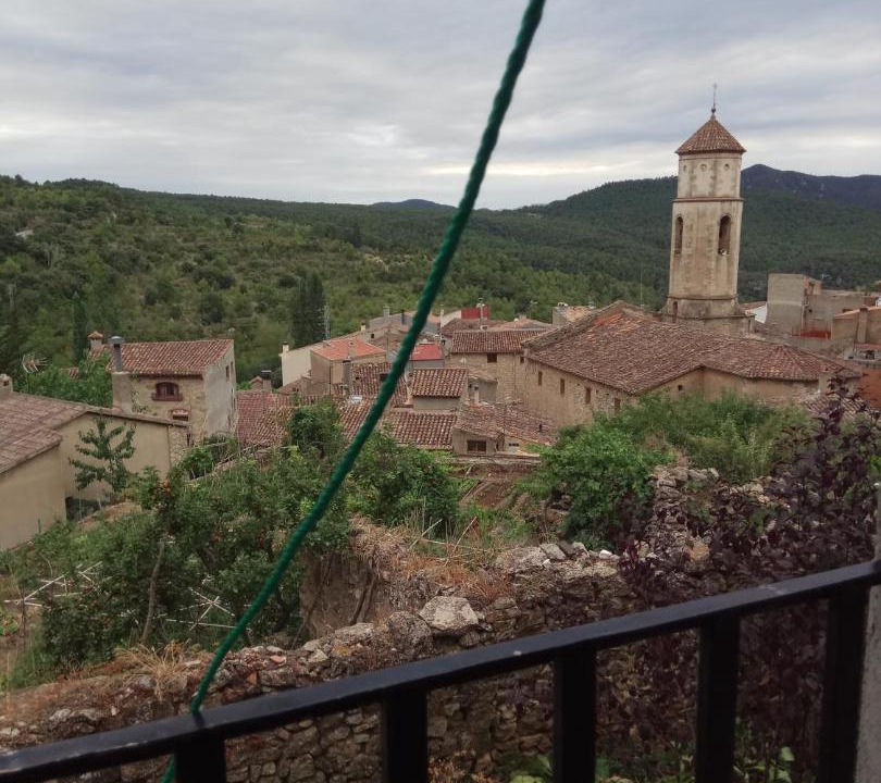 Photo of Others in Arboli