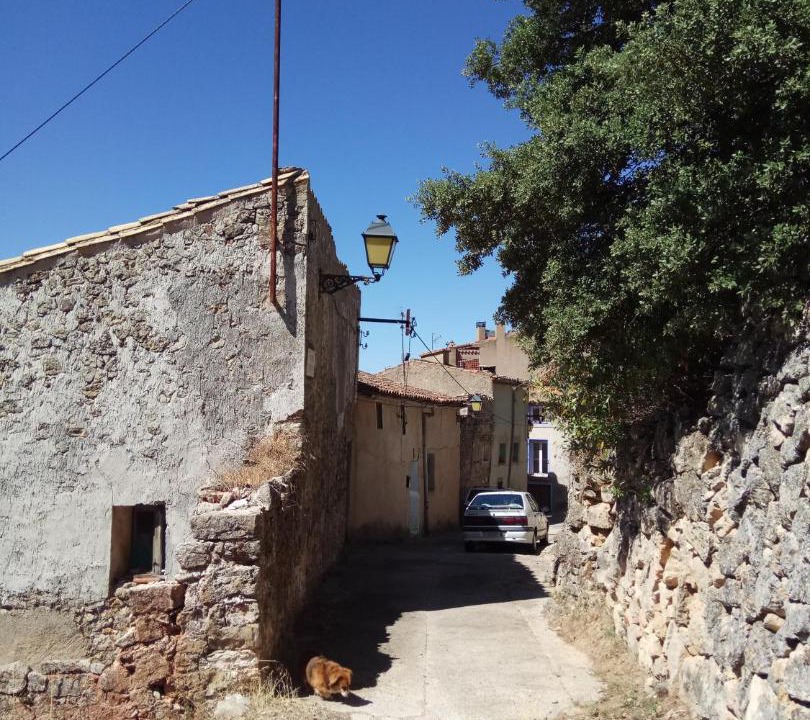 Photo of Others in Arboli