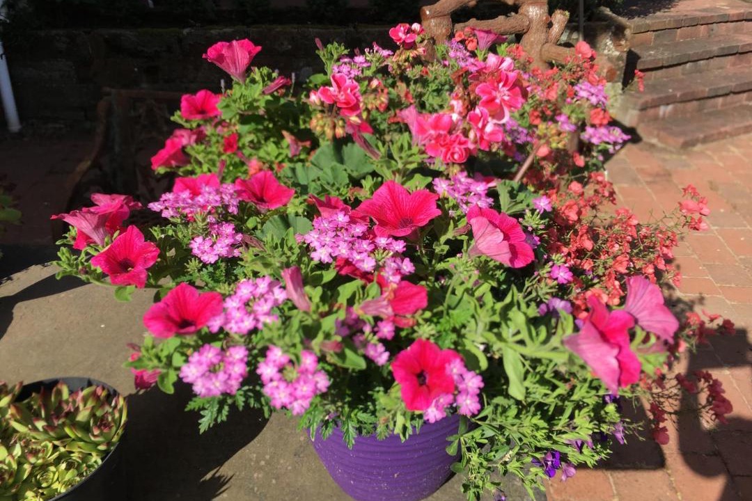 Photo of Others in Kippen