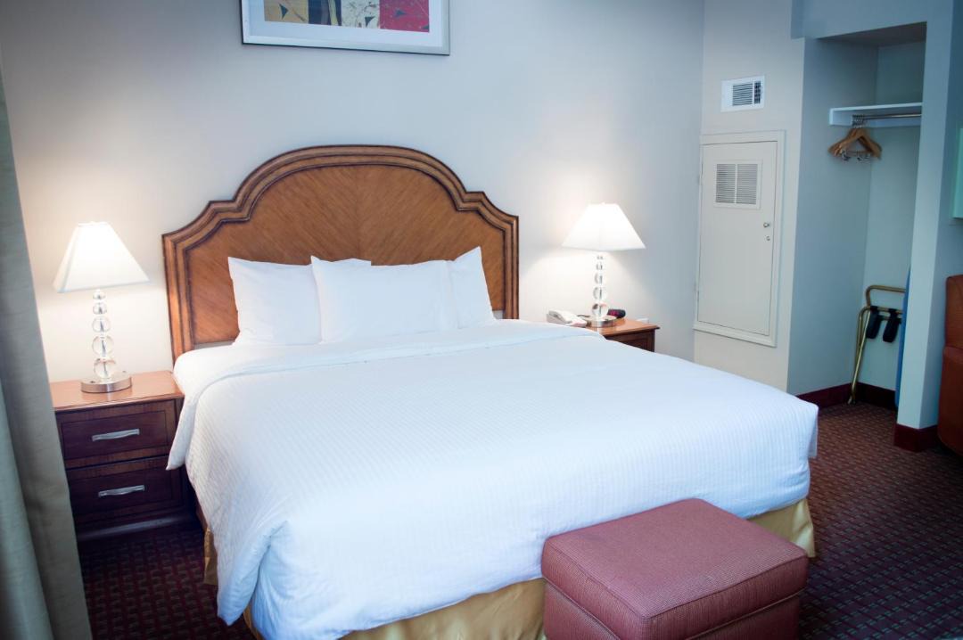 Photo of Others in Downtown San Jose