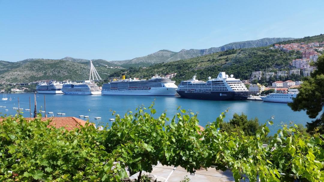 Photo of Others in Dubrovnik