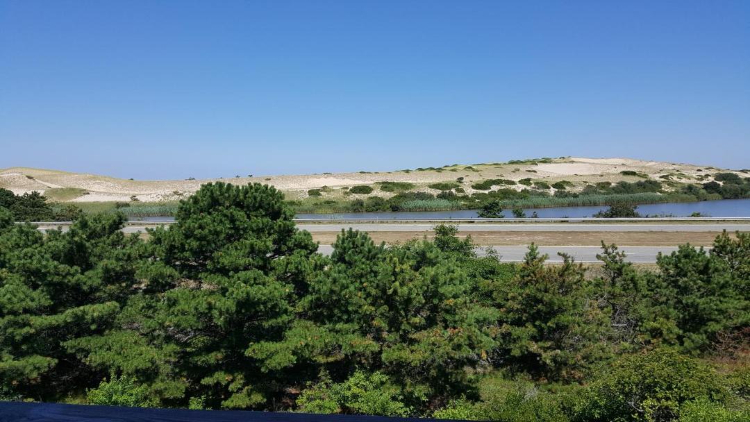 Photo of Others in North Truro