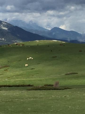 Photo of Outdoor in Estavar