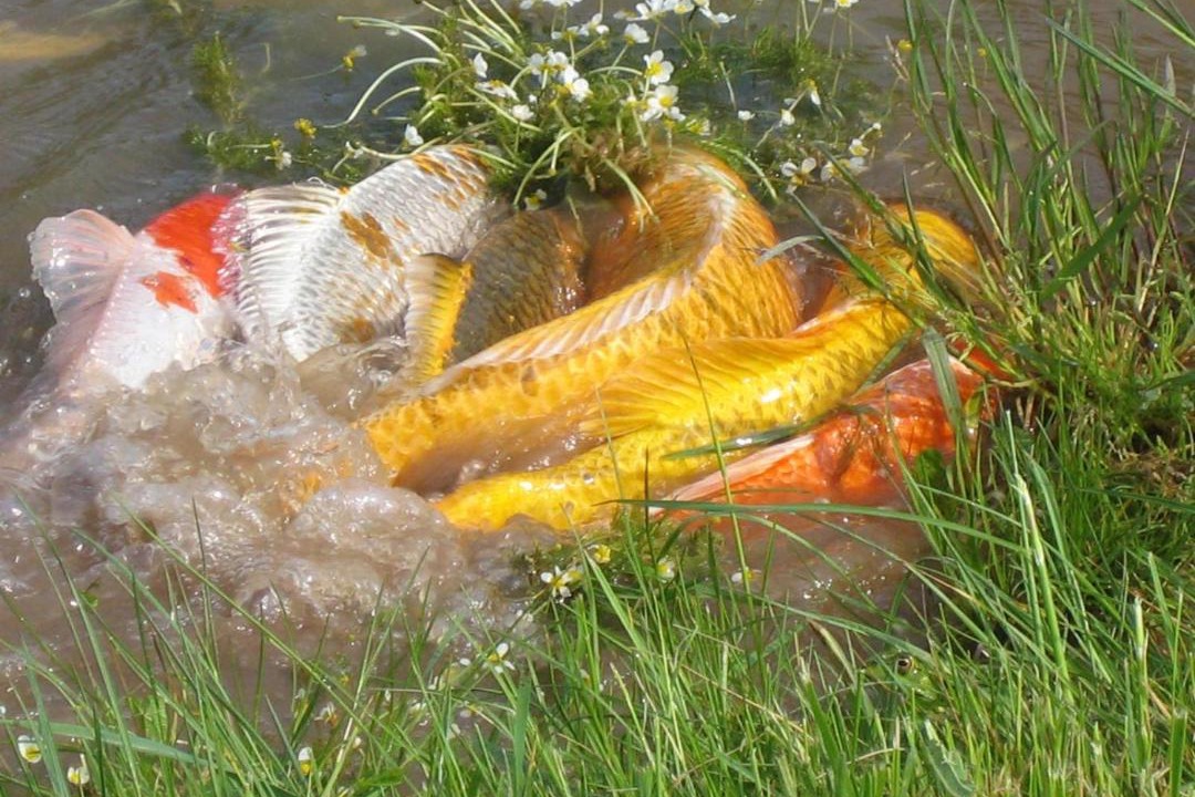 Photo of Others in Berig-Vintrange