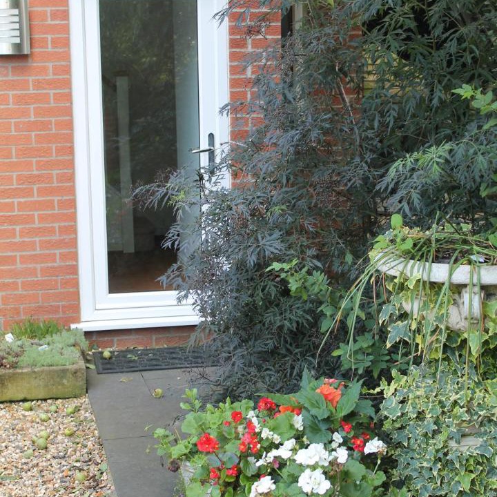 Photo of Others in Ely