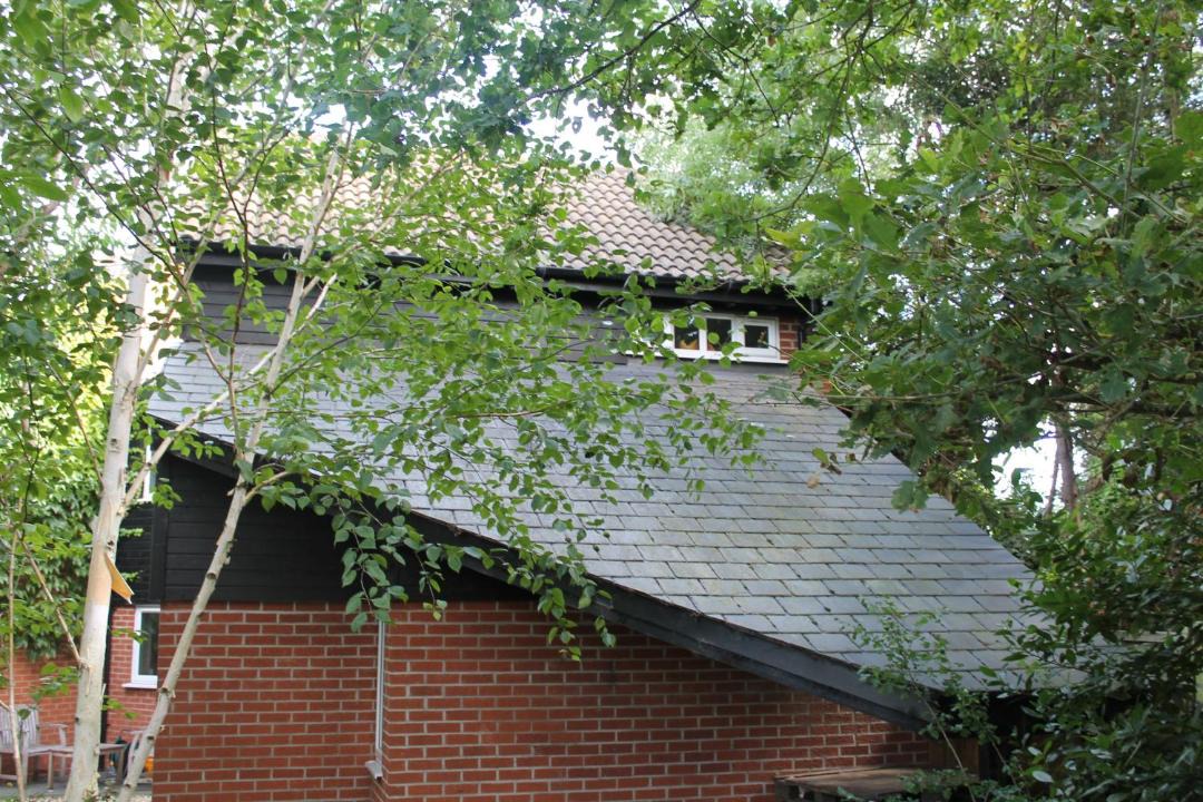 Photo of Others in Ely