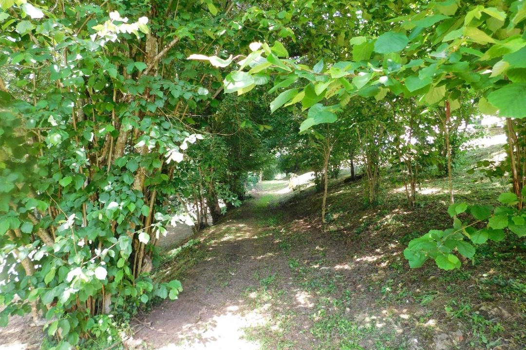 Photo of Outdoor in Cleyrac