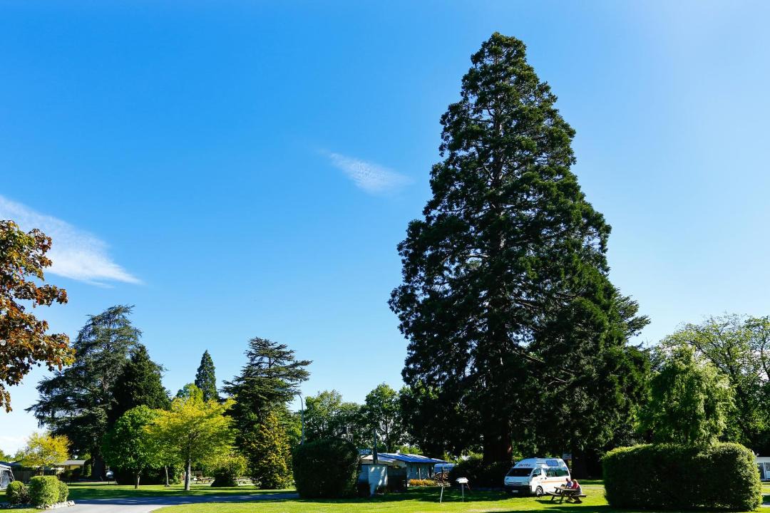 Photo of Others in Geraldine