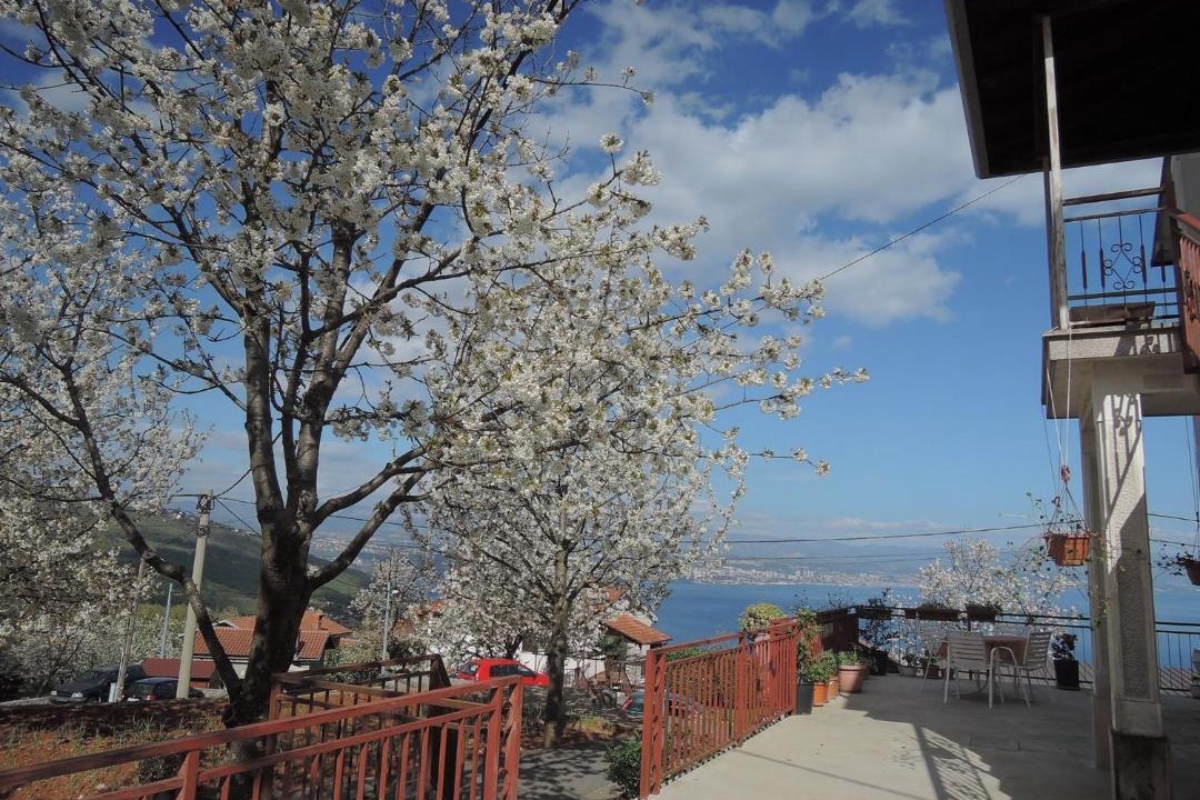 Photo of Others in Opatija