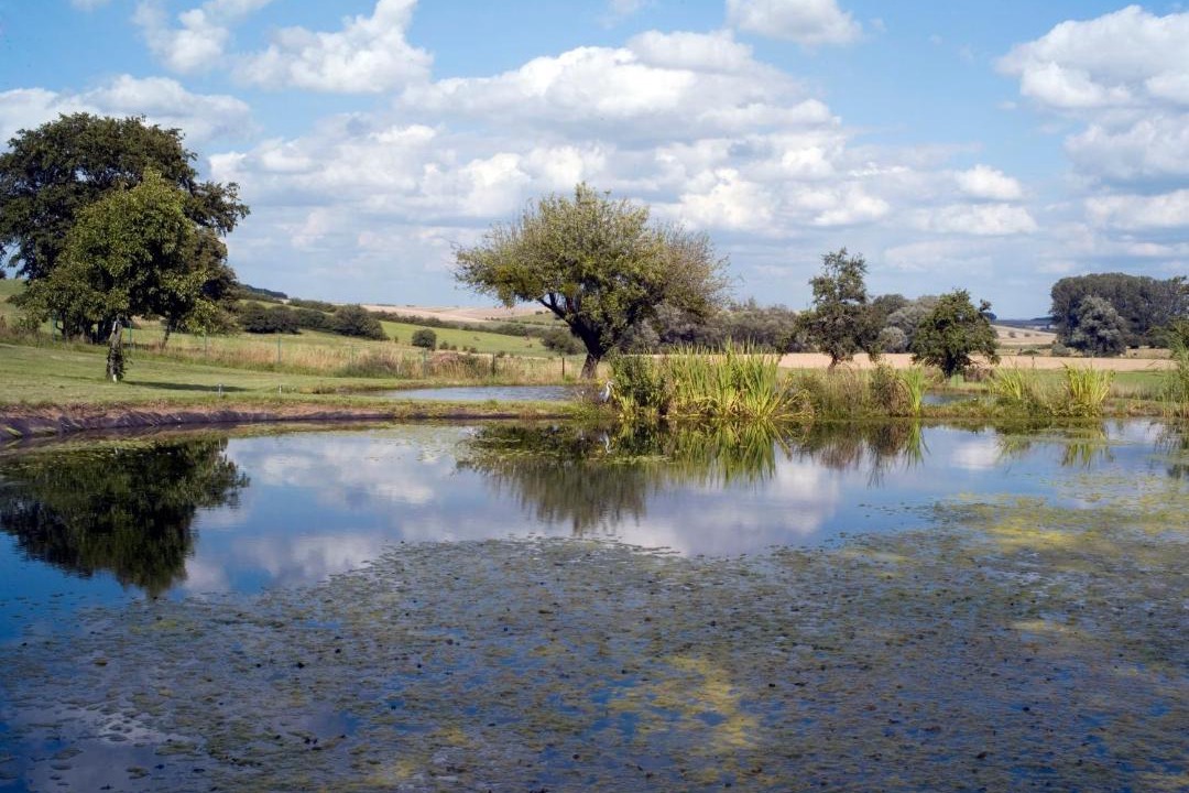 Photo of Others in Berig-Vintrange