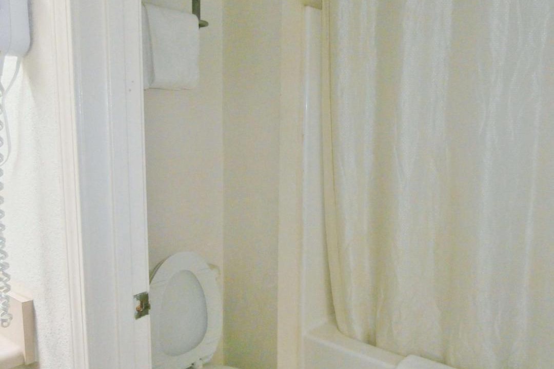 Photo of Others in Dawson