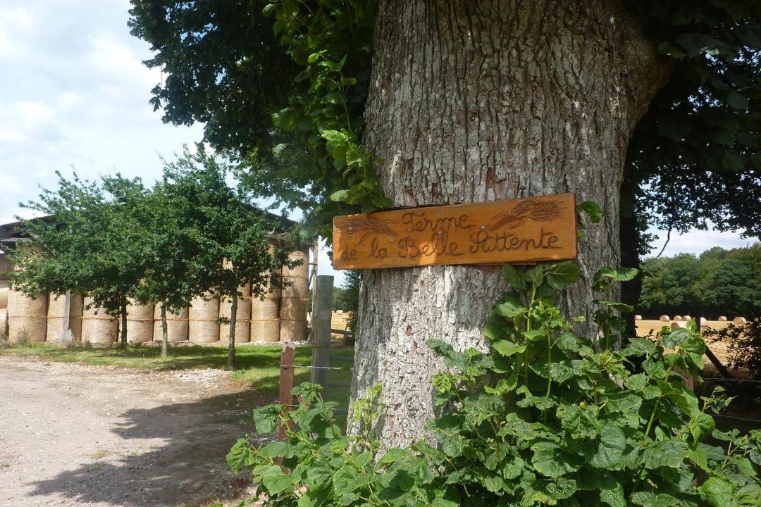 Photo of Others in Aubeguimont