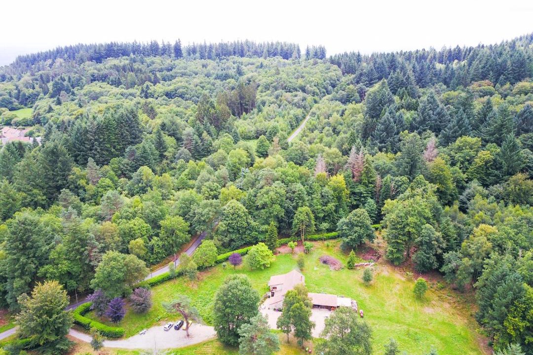 Photo of Outdoor in Saint-Leger-la-Montagne