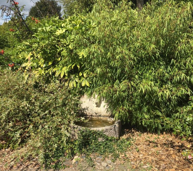 Photo of Outdoor in Moelan-sur-Mer