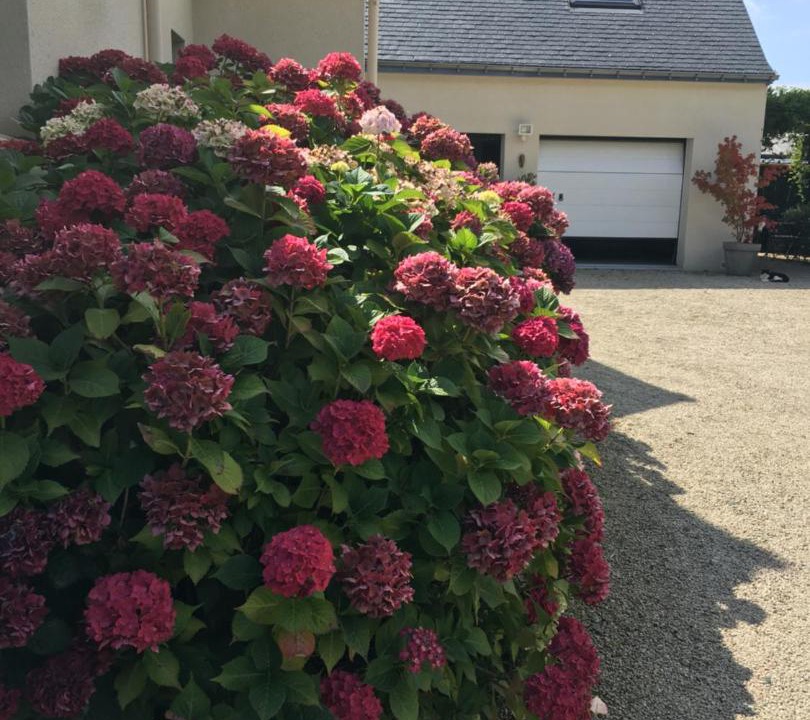 Photo of Buildings in Moelan-sur-Mer