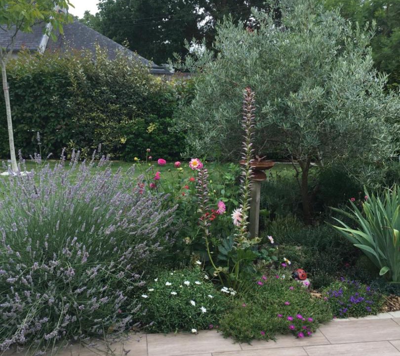 Photo of Others in Moelan-sur-Mer