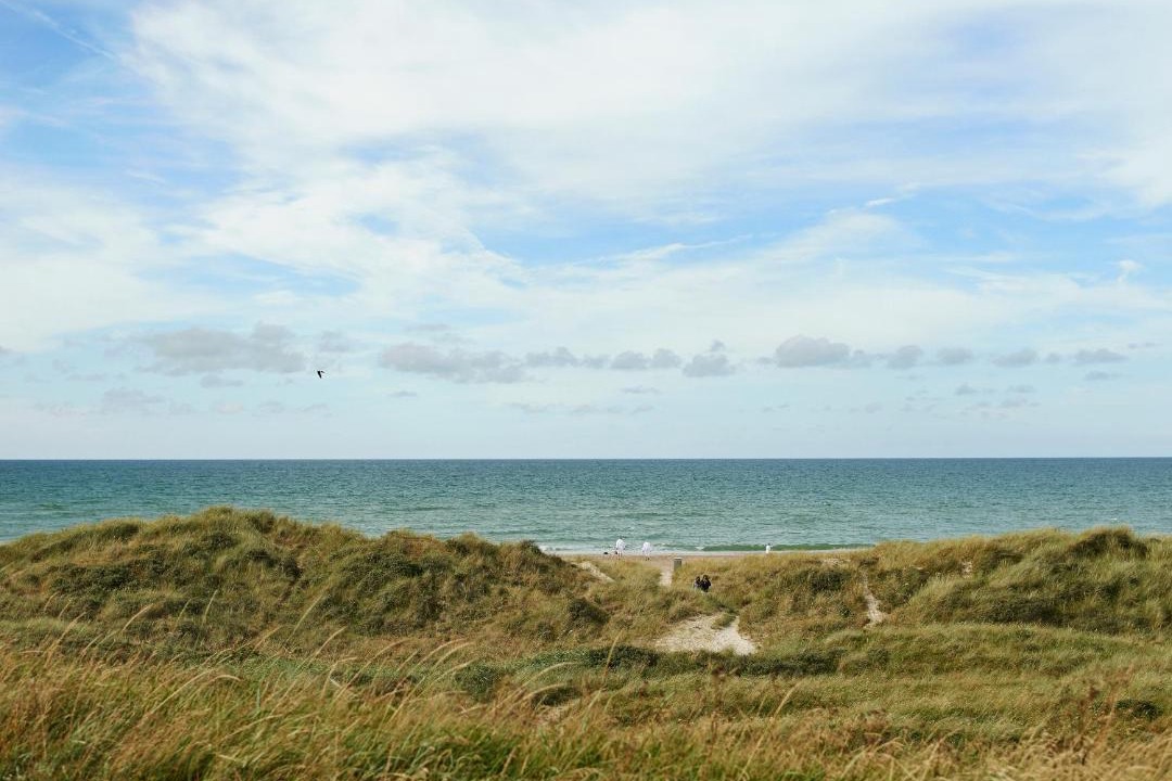 Photo of Others in Oksbol