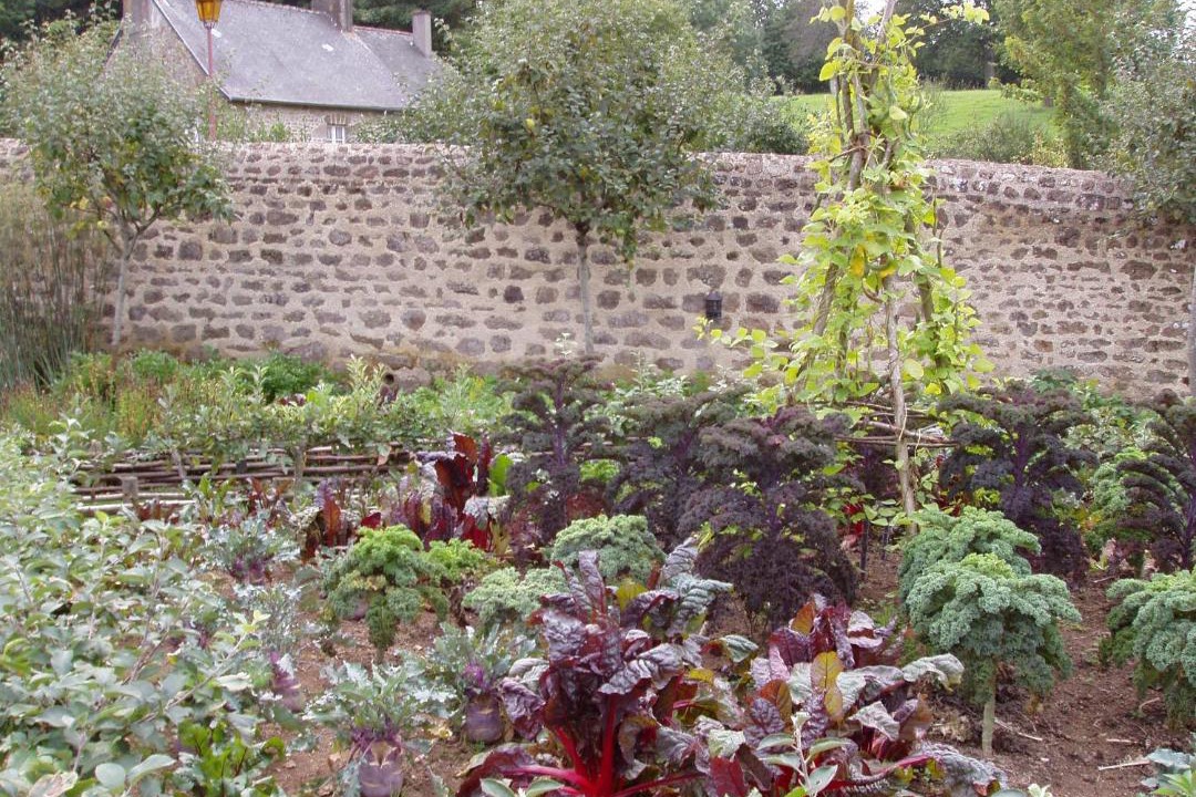 Photo of Others in Niort-la-Fontaine