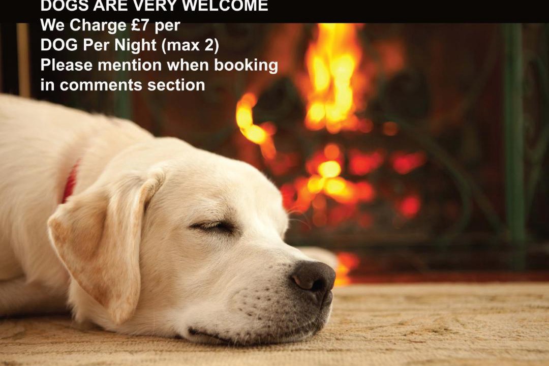 Photo of Others in Ings