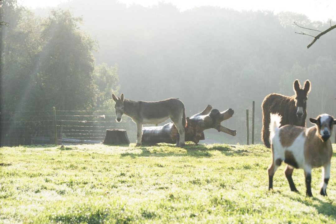 Photo of Others in Denier