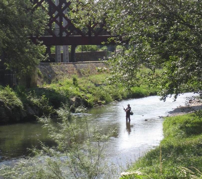 Photo of Others in Chalabre