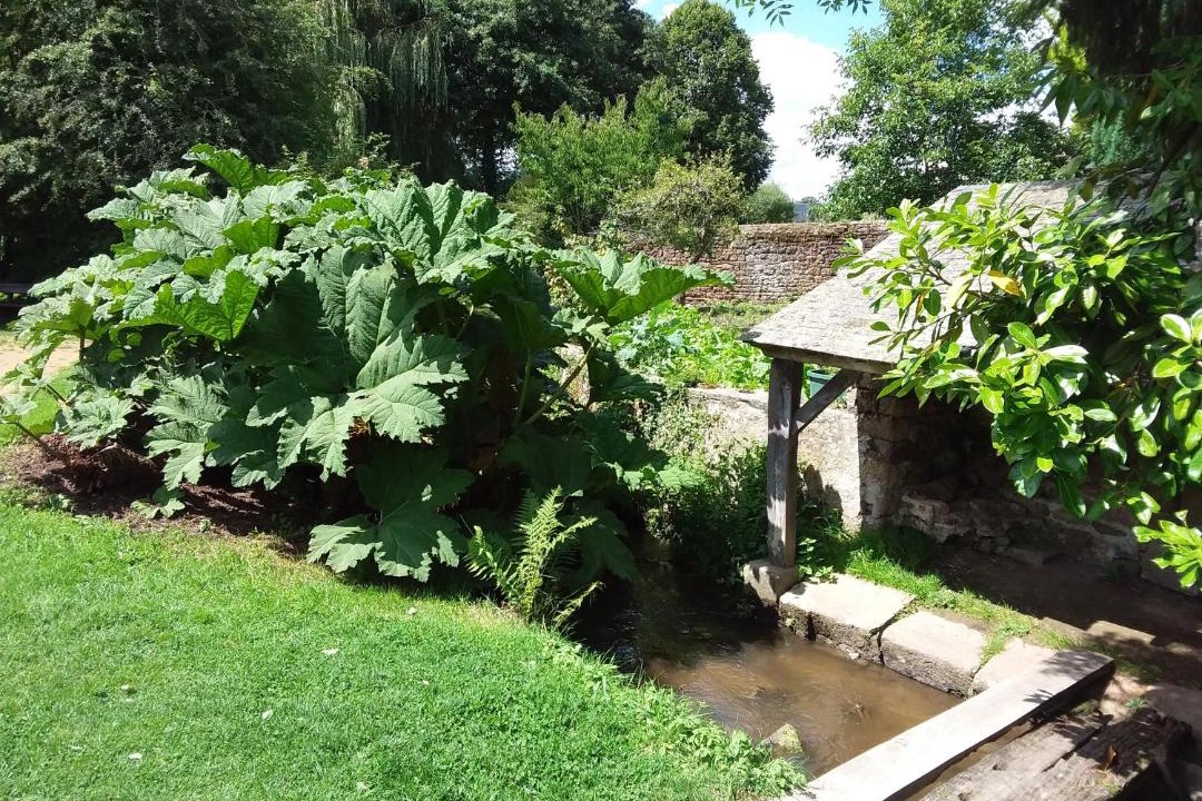 Photo of Others in Lassay-les-Chateaux