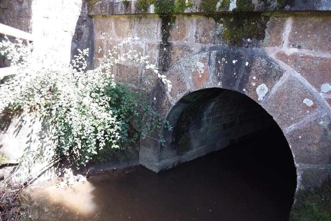 Photo of Others in Lassay-les-Chateaux