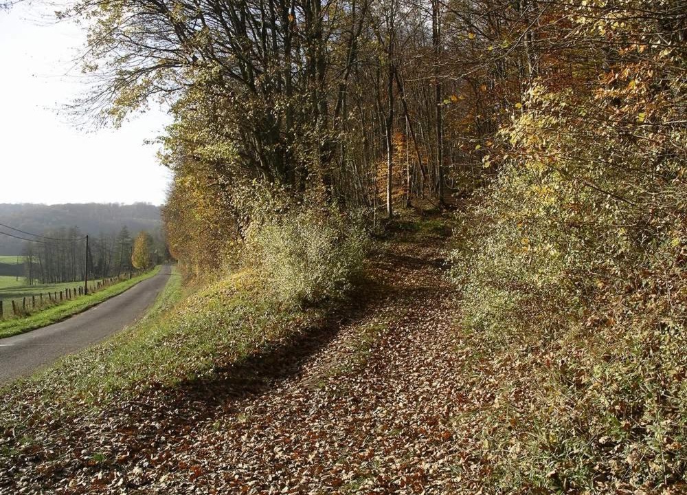 Photo of Others in Futeau