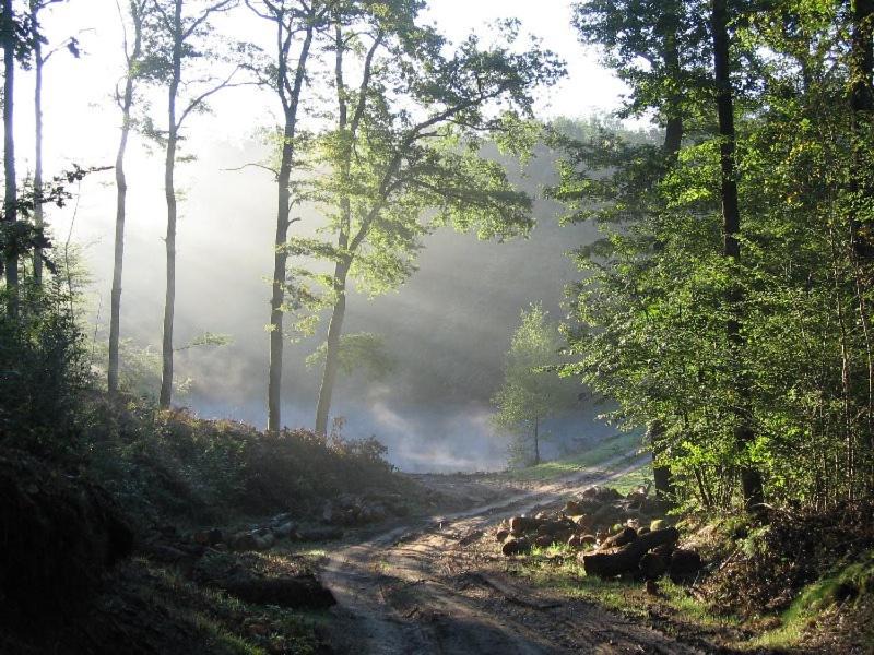 Photo of Others in Futeau