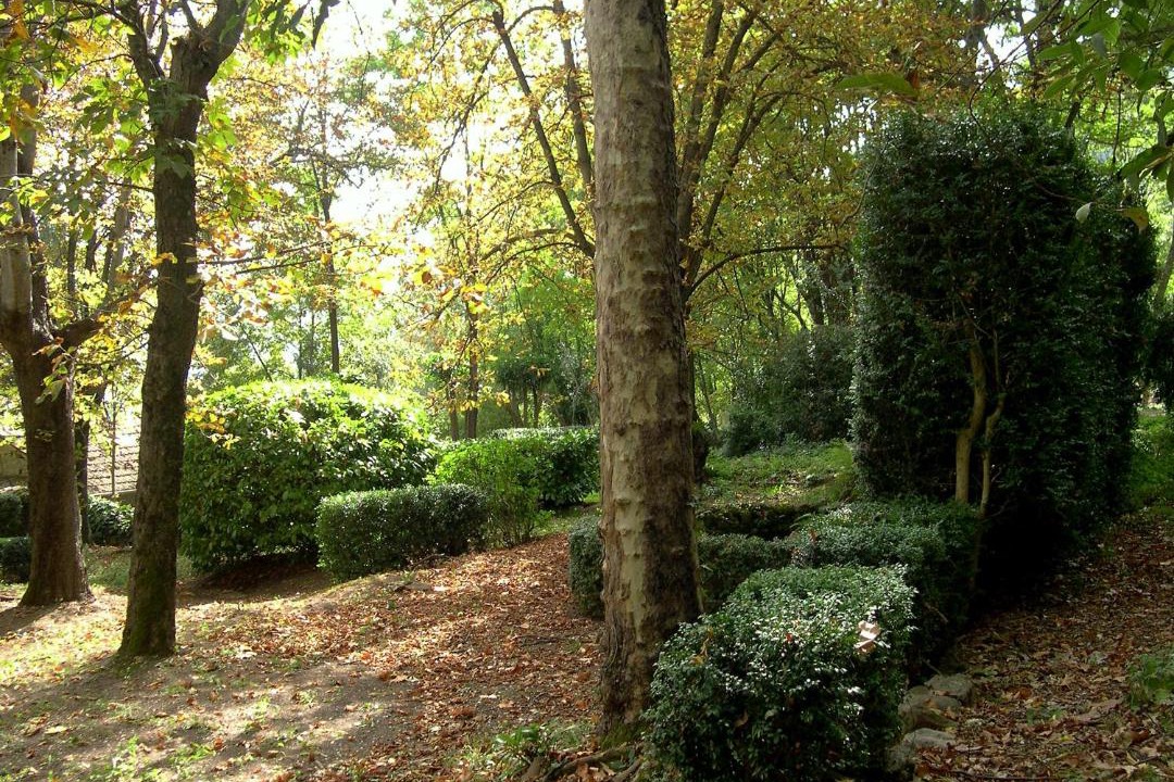 Photo of Outdoor in Sospel