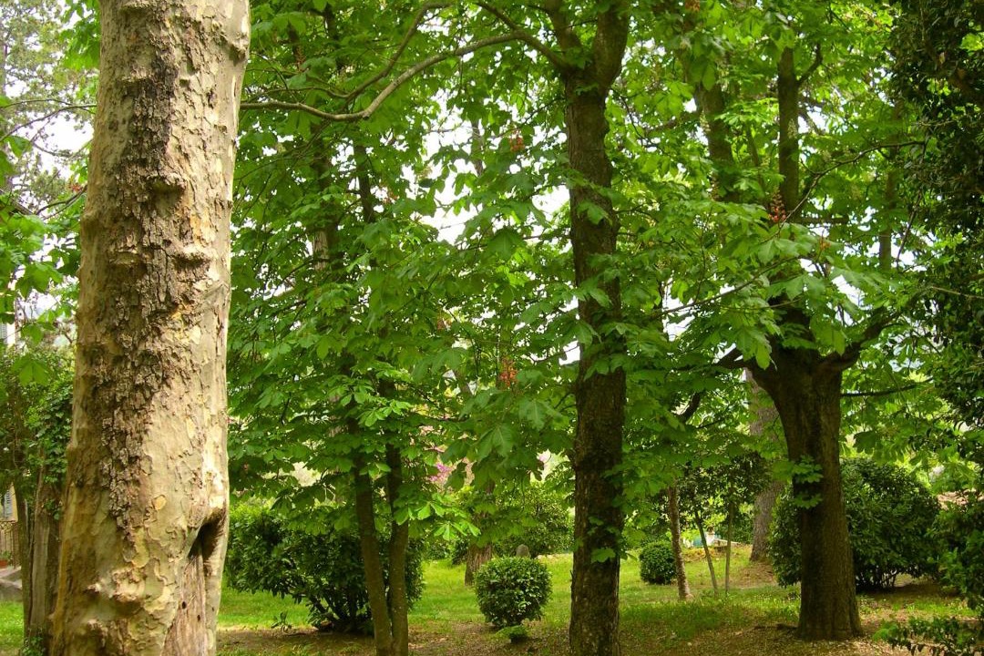 Photo of Outdoor in Sospel