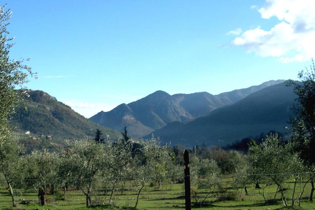 Photo of Others in Sospel