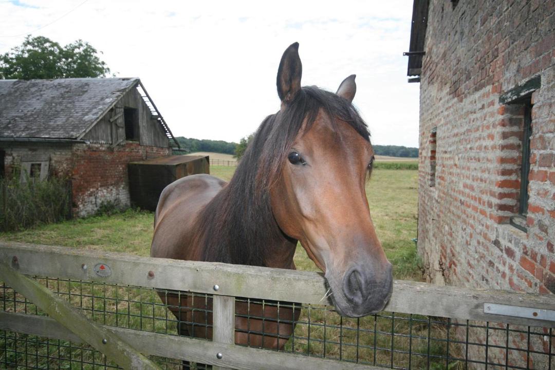 Photo of Others in Sainte-Preuve