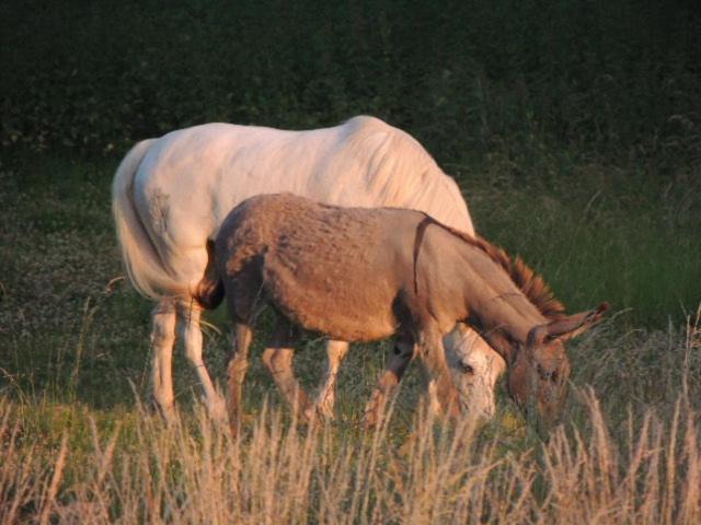 Photo of Others in Maissemy