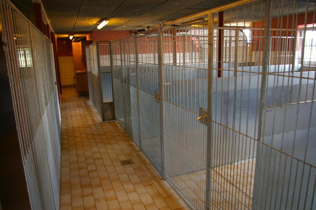 Photo of Others in Tonder