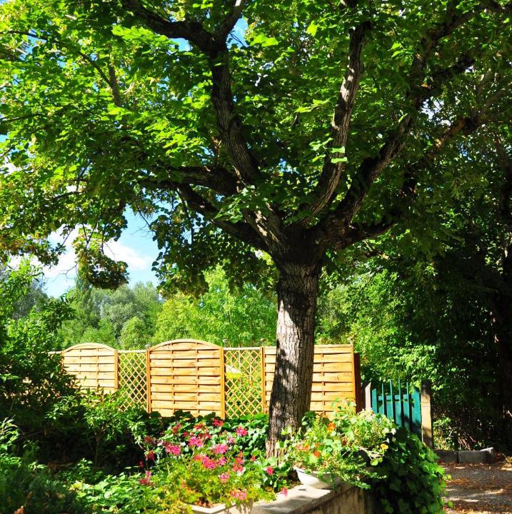 Photo of Others in Molieres-Glandaz