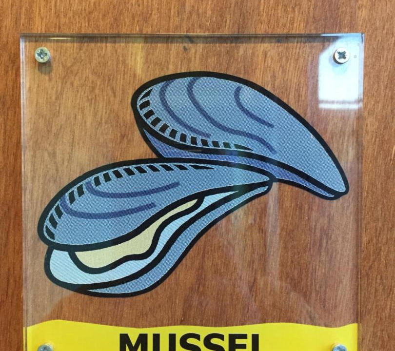 Photo of Others in Burnham Deepdale