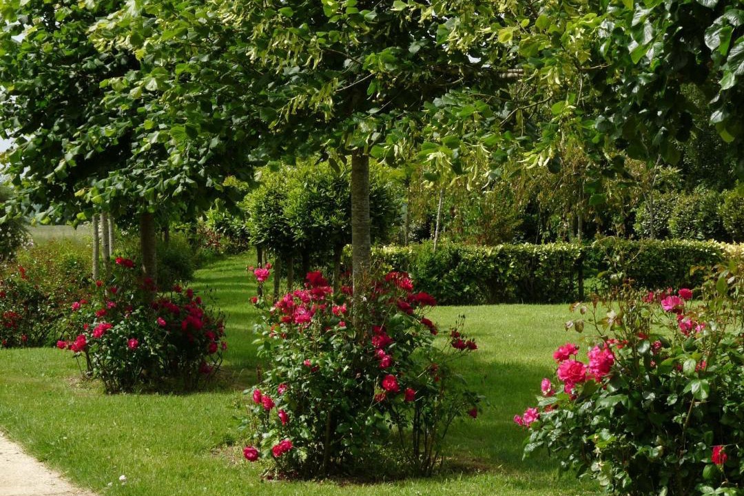 Photo of Outdoor in Corseul