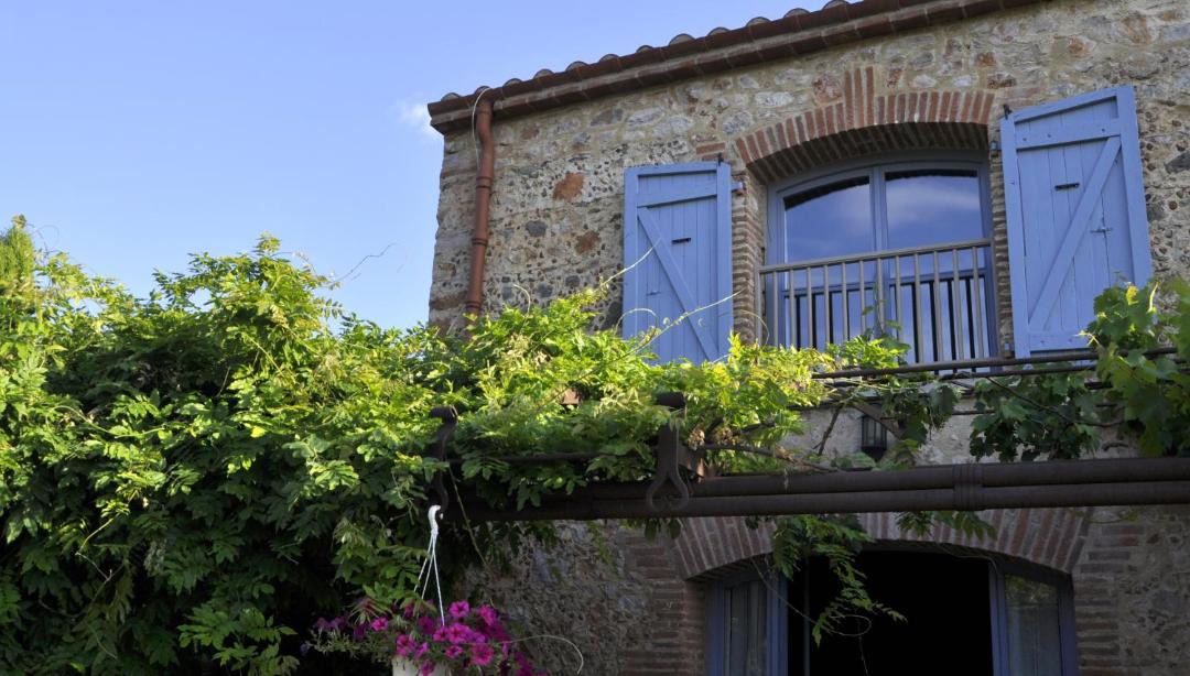 Photo of Others in Camelas