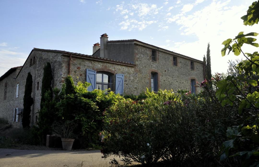 Photo of Others in Camelas