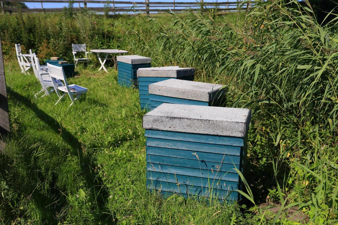 Photo of Others in Tonder