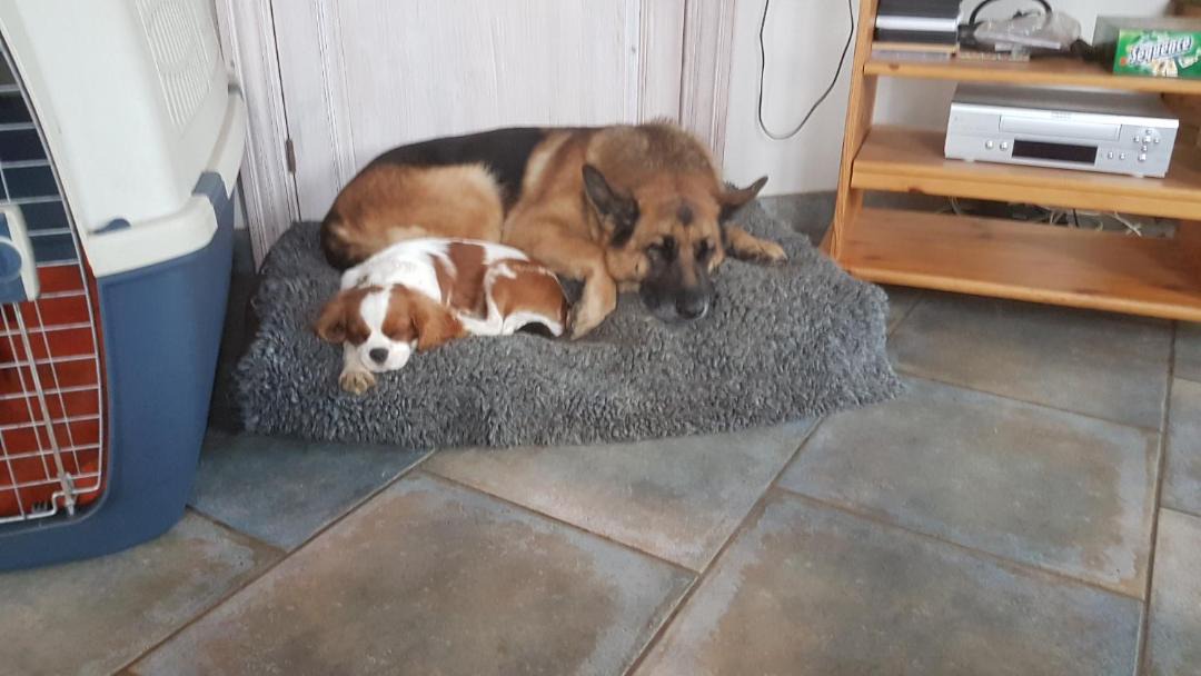 Photo of Others in Tonder