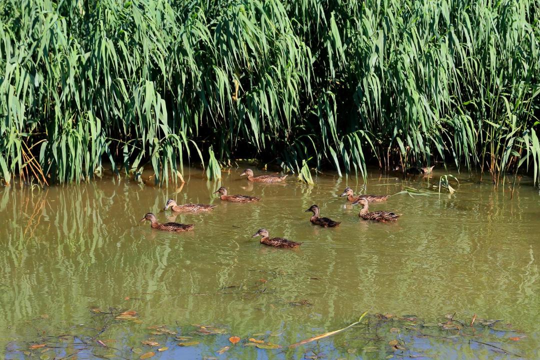 Photo of Others in Tonder