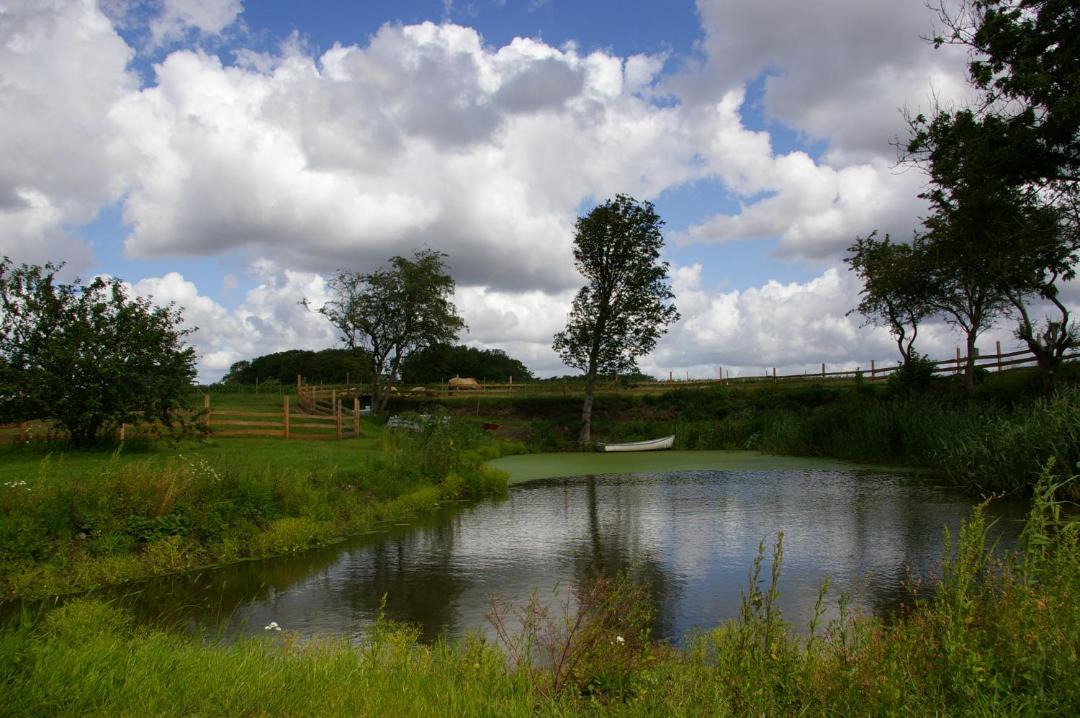 Photo of Others in Tonder