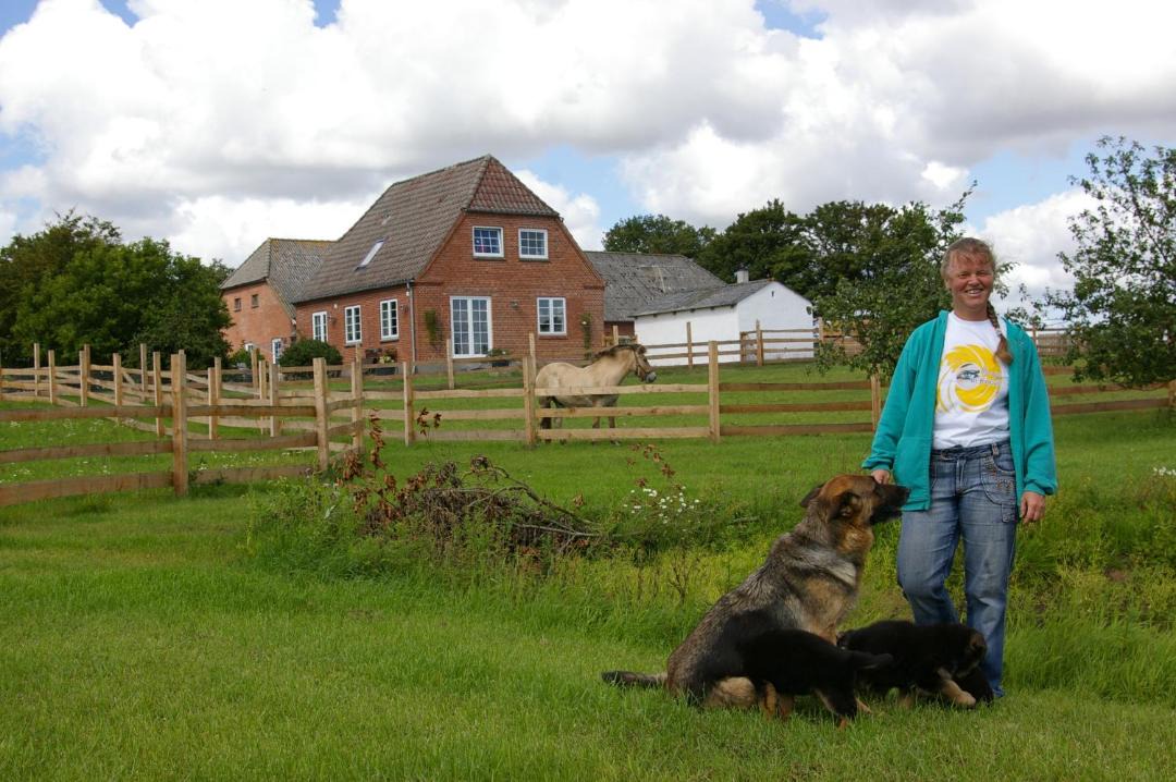 Photo of Buildings in Tonder