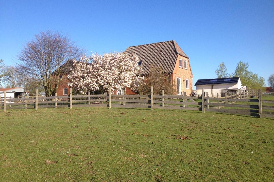 Photo of Buildings in Tonder