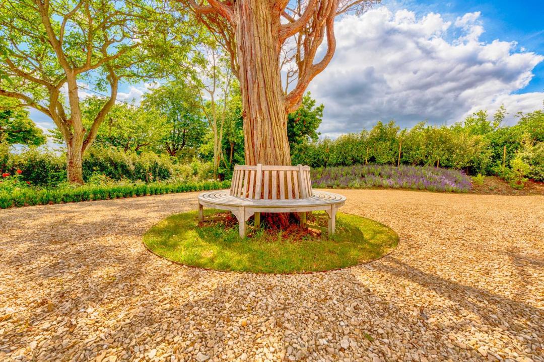 Photo of Others in Whitley