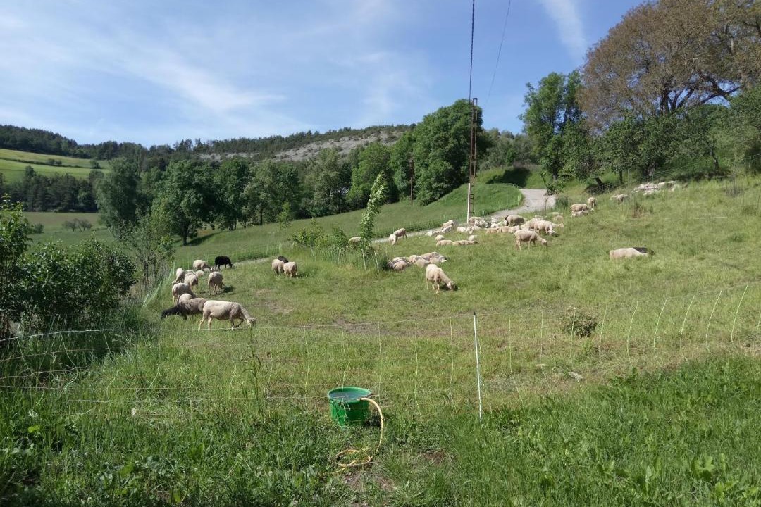 Photo of Outdoor in Selonnet