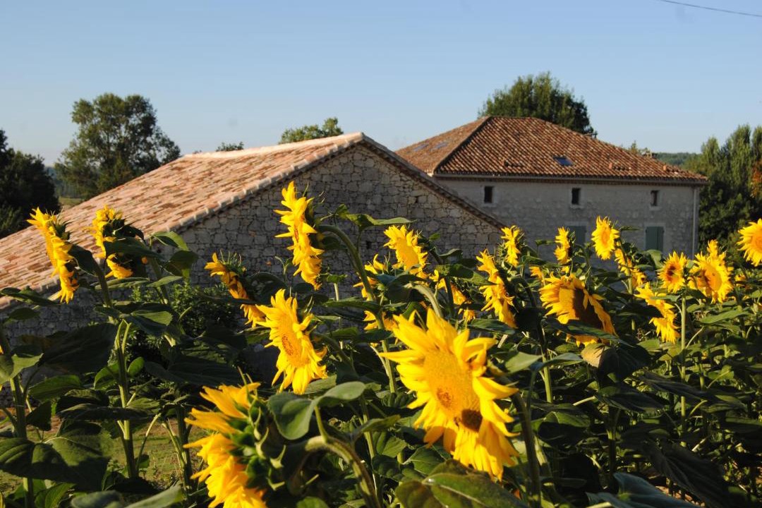 Photo of Buildings in Tayrac